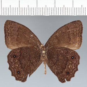  ( - CFC42351)  @11 [ ] copyright (2022) Center For Collection-Based Research Center For Collection-Based Research