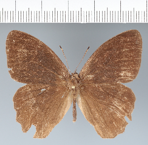  ( - CFC42725)  @11 [ ] copyright (2022) Center For Collection-Based Research Center For Collection-Based Research