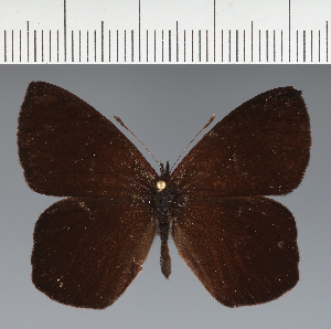  ( - CFC42938)  @11 [ ] copyright (2023) Center For Collection-Based Research Center For Collection-Based Research