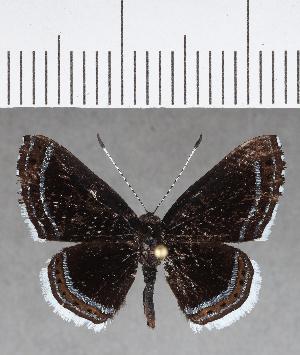  ( - CFC05129)  @11 [ ] Copyright (2018) Center For Collection-Based Research Center For Collection-Based Research