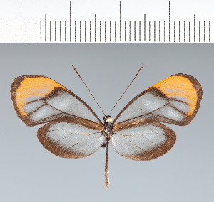  ( - CFC06154)  @11 [ ] copyright (2022) Center For Collection-Based Research Center For Collection-Based Research