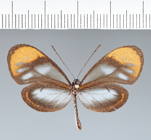  ( - CFC06167)  @11 [ ] copyright (2022) Center For Collection-Based Research Center For Collection-Based Research