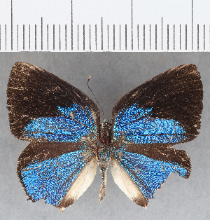  ( - CFC07175)  @11 [ ] Copyright (2019) Center For Collection-Based Research Center For Collection-Based Research