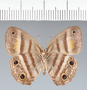  ( - CFC08693)  @11 [ ] copyright (2022) Center For Collection-Based Research Center For Collection-Based Research