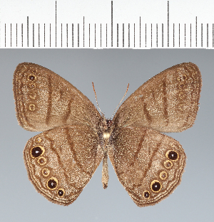  ( - CFC08761)  @11 [ ] copyright (2022) Center For Collection-Based Research Center For Collection-Based Research