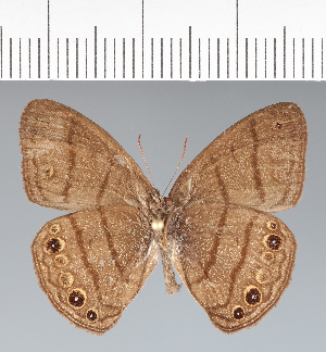  ( - CFC08763)  @11 [ ] copyright (2022) Center For Collection-Based Research Center For Collection-Based Research