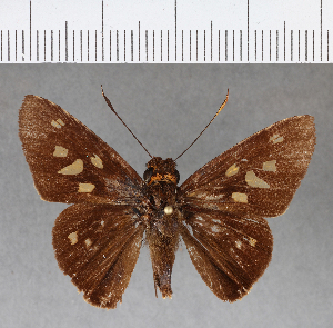  ( - CFC08923)  @11 [ ] Copyright (2018) Center For Collection-Based Research Center For Collection-Based Research