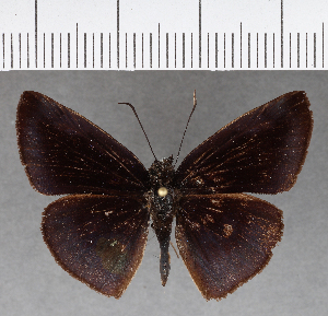  ( - CFC09059)  @11 [ ] Copyright (2019) Center For Collection-Based Research Center For Collection-Based Research