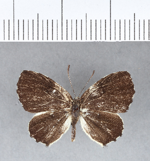  ( - CFC09151)  @11 [ ] Copyright (2018) Center For Collection-Based Research Center For Collection-Based Research