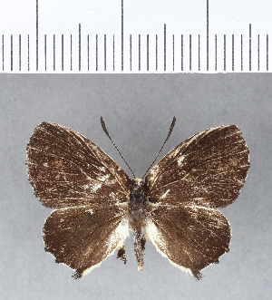  ( - CFC09154)  @11 [ ] Copyright (2018) Center For Collection-Based Research Center For Collection-Based Research