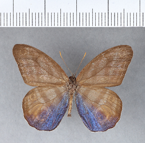  ( - CFC09281)  @11 [ ] Copyright (2018) Center For Collection-Based Research Center For Collection-Based Research