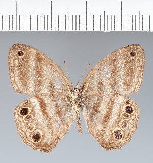  ( - CFC09989)  @11 [ ] copyright (2022) Center For Collection-Based Research Center For Collection-Based Research