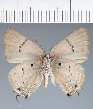  ( - CFCD04021)  @11 [ ] copyright (2024) Center For Collection-Based Research Center For Collection-Based Research