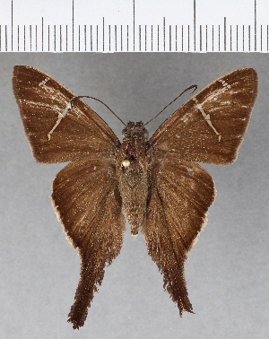  ( - CFCD01009)  @13 [ ] Copyright (2018) Center For Collection-Based Research Center For Collection-Based Research
