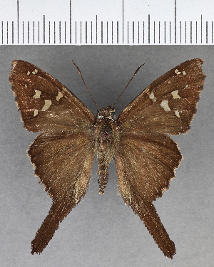  ( - CFCD01018)  @11 [ ] Copyright (2018) Center For Collection-Based Research Center For Collection-Based Research