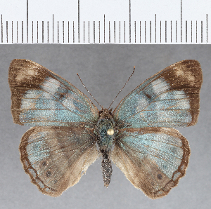  ( - CFCD01201)  @11 [ ] Copyright (2019) Center For Collection-Based Research Center For Collection-Based Research