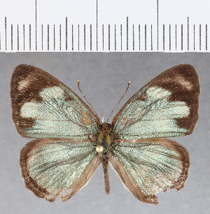  ( - CFCD01211)  @11 [ ] Copyright (2019) Center For Collection-Based Research Center For Collection-Based Research