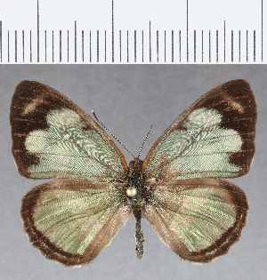  ( - CFCD01212)  @11 [ ] Copyright (2019) Center For Collection-Based Research Center For Collection-Based Research