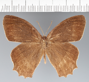  ( - CFCD01949)  @11 [ ] copyright (2022) Center For Collection-Based Research Center For Collection-Based Research