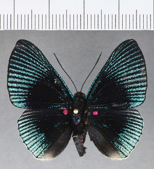  ( - CFCD00479)  @12 [ ] Copyright (2018) Center For Collection-Based Research Center For Collection-Based Research