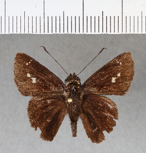  ( - CFCD00580)  @13 [ ] Copyright (2018) Center For Collection-Based Research Center For Collection-Based Research