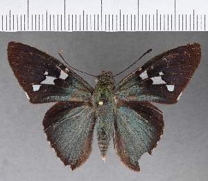  ( - CFCD00882)  @11 [ ] Copyright (2018) Center For Collection-Based Research Center For Collection-Based Research