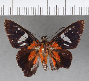  ( - CFCD00916)  @11 [ ] Copyright (2018) Center For Collection-Based Research Center For Collection-Based Research