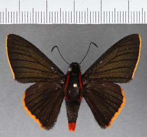  ( - CFCD00944)  @11 [ ] Copyright (2018) Center For Collection-Based Research Center For Collection-Based Research