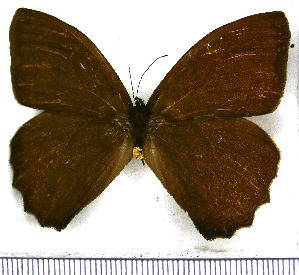  ( - JFDA1497)  @11 [ ] by-nc-sa (2025) Jean F. Le Crom Jean F. Le Crom