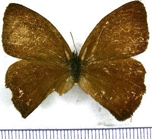  ( - JFDA1513)  @11 [ ] by-nc-sa (2025) Jean F. Le Crom Jean F. Le Crom