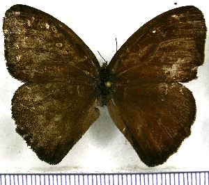  ( - JFDA1514)  @11 [ ] by-nc-sa (2025) Jean F. Le Crom Jean F. Le Crom