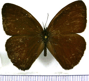  ( - JFDA1515)  @11 [ ] by-nc-sa (2025) Jean F. Le Crom Jean F. Le Crom