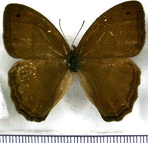  ( - JFDA1950)  @11 [ ] by-nc-sa (2025) Jean F. Le Crom Jean F. Le Crom