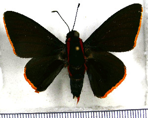  ( - JFDA3319)  @11 [ ] by-nc-sa (2025) Jean F. Le Crom Jean F. Le Crom