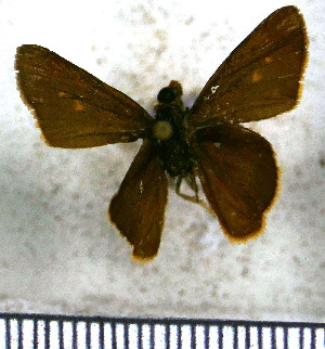  ( - JFDA3916)  @11 [ ] by-nc-sa (2025) Jean F. Le Crom Jean F. Le Crom