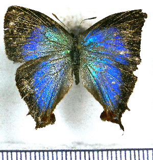  ( - JFDA4752)  @11 [ ] by-nc-sa (2025) Jean F. Le Crom Jean F. Le Crom