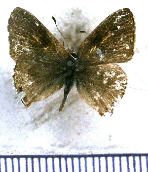  ( - JFDA5158)  @11 [ ] by-nc-sa (2025) Jean F. Le Crom Jean F. Le Crom