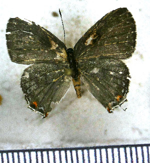  ( - JFDA5218)  @11 [ ] copyright (2025) Center For Collection-Based Research Center For Collection-Based Research