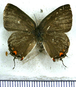  ( - JFDA5221)  @11 [ ] copyright (2025) Center For Collection-Based Research Center For Collection-Based Research