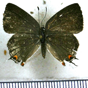  ( - JFDA5222)  @11 [ ] copyright (2025) Center For Collection-Based Research Center For Collection-Based Research