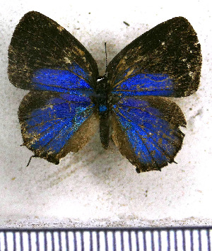 ( - JFDA5402)  @11 [ ] copyright (2025) Center For Collection-Based Research Center For Collection-Based Research