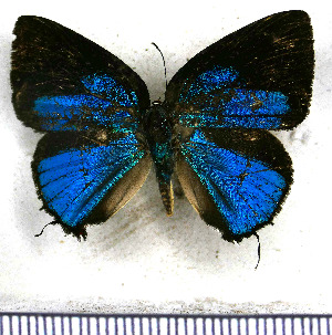  ( - JFDA5419)  @11 [ ] copyright (2025) Center For Collection-Based Research Center For Collection-Based Research