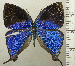  ( - RCB02726)  @11 [ ] by-nc-sa (2025) Robert C. Busby Robert C. Busby