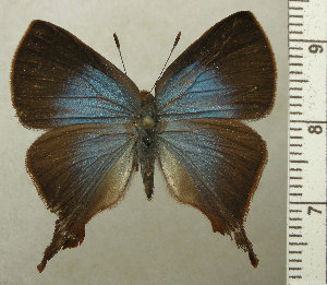  ( - RCB04615)  @11 [ ] by-nc-sa (2025) Robert C. Busby Robert C. Busby