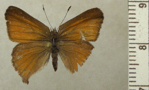  ( - RCB04660)  @11 [ ] by-nc-sa (2025) Robert C. Busby Robert C. Busby