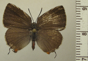  ( - RCB05128)  @11 [ ] by-nc-sa (2025) Robert C. Busby Robert C. Busby