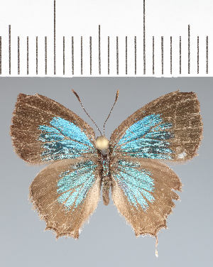  ( - RCCP2480)  @11 [ ] copyright (2023) Center For Collection-Based Research Center For Collection-Based Research