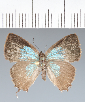  ( - RCCP2508)  @11 [ ] copyright (2023) Center For Collection-Based Research Center For Collection-Based Research