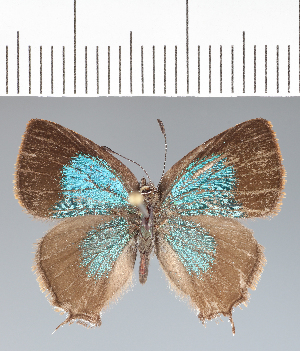  ( - RCCP2547)  @11 [ ] copyright (2023) Center For Collection-Based Research Center For Collection-Based Research