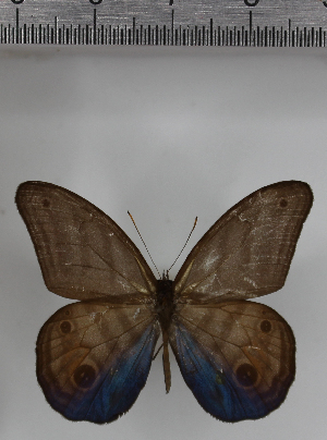  ( - SAT-MB-010)  @11 [ ] copyright (2025) M. Benmesbah Research Collection of Mohamed Benmesbah